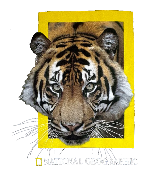 National Geographic Motiv mit Plastisolfarben gedruckt