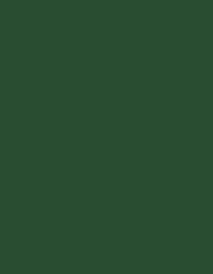 Polyneon 40 (Spule à 1.000 m) zum Besticken und Bedrucken in der Farbe 1970 Dark Green mit Ihren Logo, Schriftzug oder Motiv.