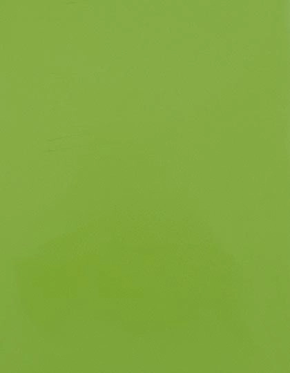 CAD-CUT® SportsFilm zum Besticken und Bedrucken in der Farbe Apple Green 421 (ca. Pantone 368C) mit Ihren Logo, Schriftzug oder Motiv.