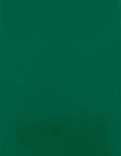 CAD-CUT® SportsFilm zum Besticken und Bedrucken in der Farbe Green 400 (ca. Pantone 7727C) mit Ihren Logo, Schriftzug oder Motiv.