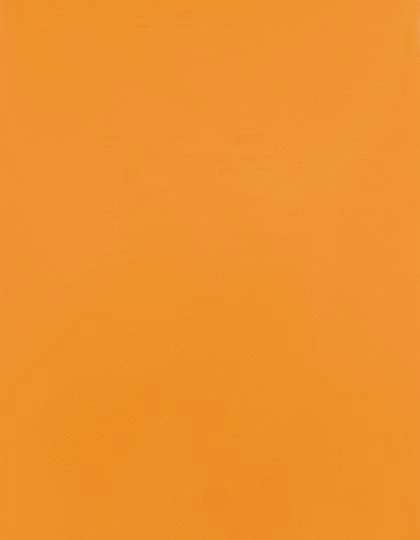 CAD-CUT® SportsFilm zum Besticken und Bedrucken in der Farbe Light Orange 185 (ca. Pantone 1495C) mit Ihren Logo, Schriftzug oder Motiv.
