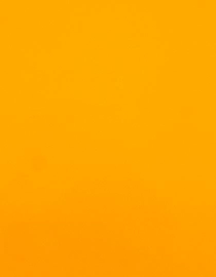 CAD-CUT® SportsFilm zum Besticken und Bedrucken in der Farbe Neon Orange 181 mit Ihren Logo, Schriftzug oder Motiv.