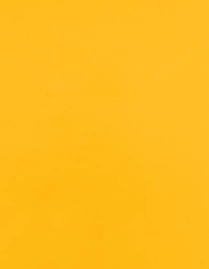 CAD-CUT® SportsFilm zum Besticken und Bedrucken in der Farbe Sunflower Yellow 106 (ca. Pantone 137C) mit Ihren Logo, Schriftzug oder Motiv.