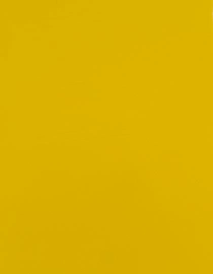 CAD-CUT® SportsFilm zum Besticken und Bedrucken in der Farbe Yellow 110 (ca. Pantone 012C) mit Ihren Logo, Schriftzug oder Motiv.