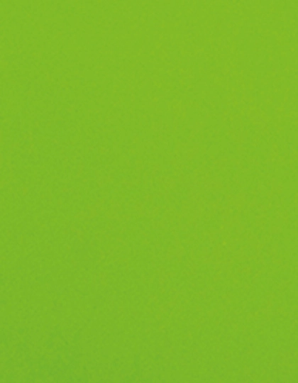 CAD-CUT® Flock zum Besticken und Bedrucken in der Farbe Lime Green 405 (ca. Pantone 367C) mit Ihren Logo, Schriftzug oder Motiv.