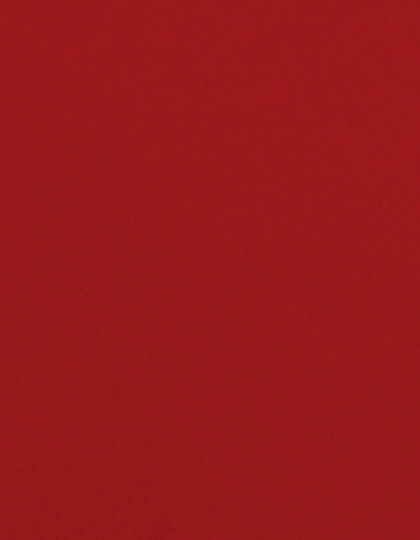 CAD-CUT® Flock zum Besticken und Bedrucken in der Farbe Red 200 (ca. Pantone 1935C) mit Ihren Logo, Schriftzug oder Motiv.