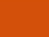 #E190 LSL in der Farbe Urban Orange