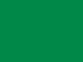Softex Beanie in der Farbe Celtic Green