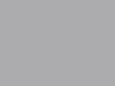 Icon Gymsac in der Farbe Light Grey