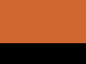 Icon Gymsac in der Farbe Orange/Black