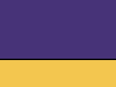 Team Scarf in der Farbe Purple/Yellow