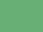 Houston 5-Panel Printers Cap in der Farbe Apple Green
