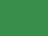 Memphis 6-Panel Low Profile Cap in der Farbe Emerald