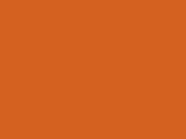 Original V-Neck T in der Farbe Orange
