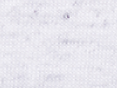 Unisex Triblend Short Sleeve Tee in der Farbe White Fleck Triblend