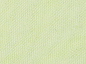 Unisex Jersey Short Sleeve Tee in der Farbe Spring Green