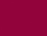 Kids` Iconic 195 T in der Farbe Cranberry