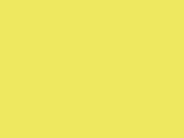 Fluo 1/4 Zip Sweat Shirt in der Farbe Fluo Yellow