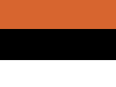 Teamwear Competition Cap in der Farbe Orange/Black/White