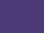 5 Panel Snapback Rapper Cap in der Farbe Purple