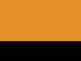 Fluo Executive Waistcoat in der Farbe Fluo Orange/Black