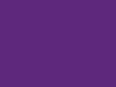 Fluo Reflective Border Tabard in der Farbe Purple