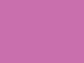 Fluo Reflective Border Tabard in der Farbe Raspberry