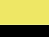 EOS - Hi-Vis Parka  in der Farbe Yellow/Black
