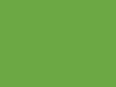 Sirocco Windbreaker in der Farbe Real Green