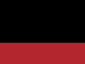 Junior Microfleece Bodywarmer in der Farbe Black/Classic Red